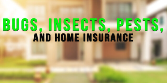 HOME- Bugs, Insects, Pests, and Home Insurance